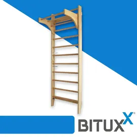 BITUXX Sprossenwand Kletterwand Turnwand Klettergerüst Turngerät mit variabler Klimmzugstange 10 Sprossen bis 120Kg