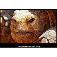 Vero Kalender Schildkrötenzauber 2026 Fotokalender DIN A3 von Tobias