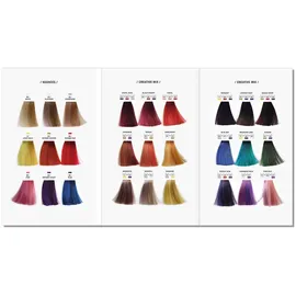 Previa Direct Colour Mask Platinum Maske 500 ml