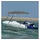vidaXL Bimini Sonnenverdeck 4-Bow 243 x 244 x 137 cm Grau