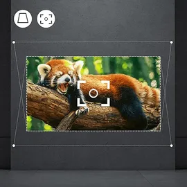 Strong Mira-X1 LCD Grün