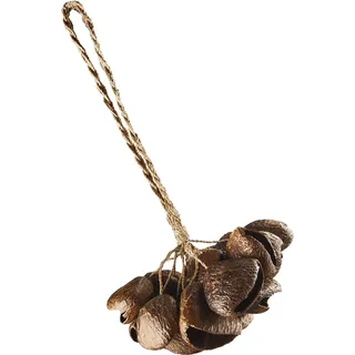 Sonic Energy Pangi Nussschalen Shaker – Ca. 21 cm – Soundeffekt-Instrument für Therapie und Percussion – Mit Handgelenkband (SPGRS)