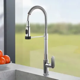 Fortis Lica spring Küchenarmatur mit 2 Strahlarten, schwenkbar, Metallfeder-Auslauf flexibel, 1857700PC,
