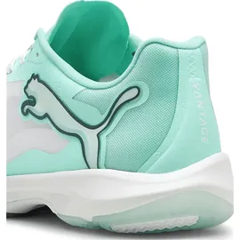 Puma Hallenschuhe, (40.5)