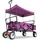 FUXTEC Fuxlife Einsteiger Bollerwagen FX-CT350 Purpur