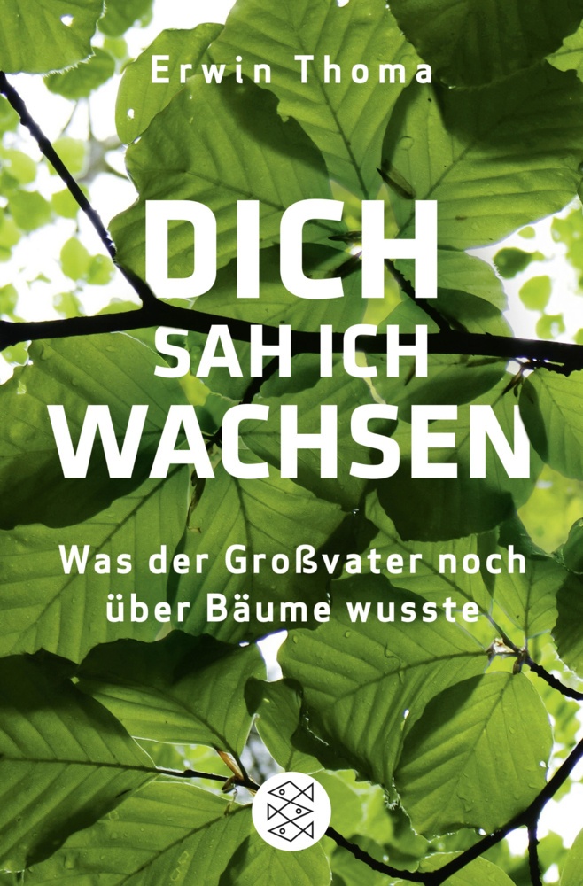 Dich Sah Ich Wachsen - Erwin Thoma  Taschenbuch
