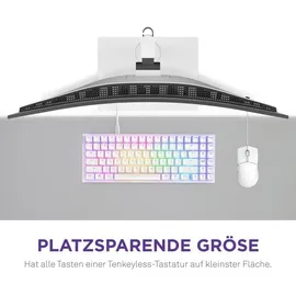 NZXT Function 2 MiniTKL Lineare Opt. Switches DE