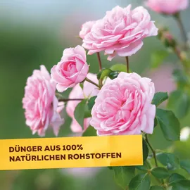 Solabiol Rosendünger mit Wurzelstimulator 1,5 kg