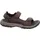 Teva Langdon walnut 44,5