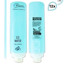 Blanc HYGIENIC Duscherlebnis Komplett-Set 12 x 425 ml, Intim Reinigungsschaum 300 ml