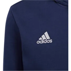 Adidas Entrada 22 Sweat Hoodie Kinder tenabl 140