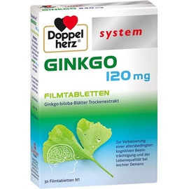 Queisser Doppelherz Ginkgo 120 mg system