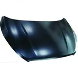 Diederichs Motorhaube für HYUNDAI