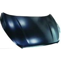 Diederichs Motorhaube für HYUNDAI