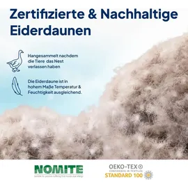 AM Qualitätsmatratzen Premium Eiderdaunendecke Made in Germany mit Echten Eiderdaunen aus Island 155x220cm