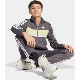 adidas Seasonal Essentials Tiberio Trainingsanzug Grau/Grün 152
