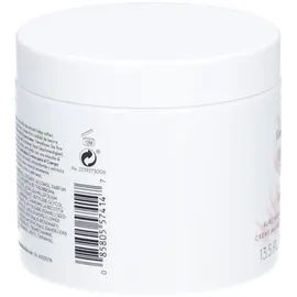 Elizabeth Arden White Tea Ginger Lily Körpercreme 400 ml