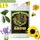 Advanced Nutrients pH Perfect Grow Pflanzennährstoff