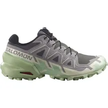Salomon Speedcross 6 Damen Castle Rock/Vanilla Ice/Smoke Green 40