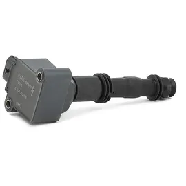 BorgWarner (Beru) Zündspule