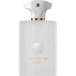 AMOUAGE Odyssey Decision Eau de Parfum 100 ml