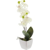 Sellmer Sellmer, Kunstpflanzen, Kunstpflanze Orchidee (40 cm)