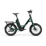 QIO EINS P-5 2025 20 Zoll RH 48 cm grün