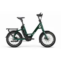 QIO EINS P-5 2025 20 Zoll RH 48 cm grün