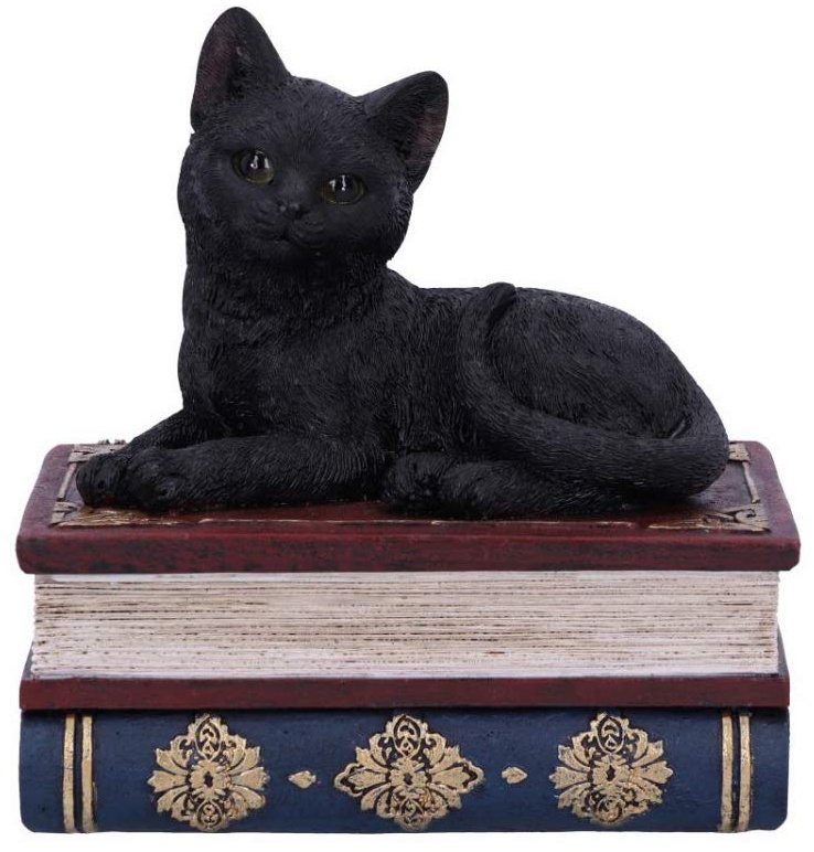 Horror-Shop Schwarze Katze auf Einer Zauberbuch Box 11,7cm