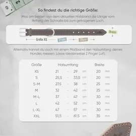 Freudentier gefüttertes Halsband aus Leder dunkelbraun 38 cm, 2,5 cm