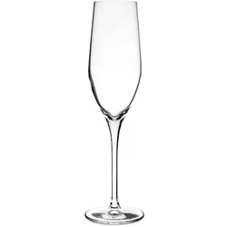 Konfekt 6 champagner muse vinifera kelche cl 24,5