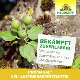 NEUDORFF Promanal Neu Austriebsspritzmittel 500 ml