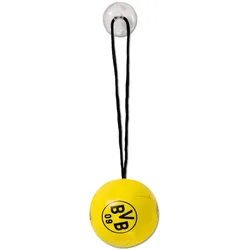 Autospiegelball BVB