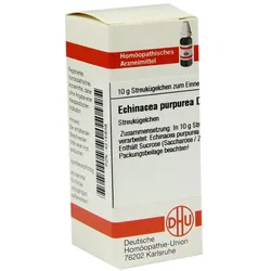 Echinacea Purpurea D 4 Globuli 10 g