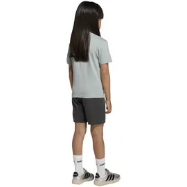 adidas Essentials T-Shirt - Shorts Set LK BL T-SET 160 KD6004 - wonder sage/white 128
