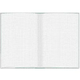RNK Notizbuch Mint A5 kariert