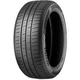 Evergreen Dynacomfort EH228 205/55 R16 94W XL