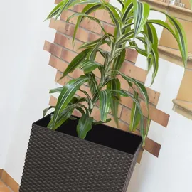 Prosperplast Rato Square 26,5 x 26,5 x 50 cm braun