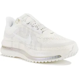 Nike Pegasus Premium Damen White/Silver 40,5
