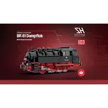 stone heap BR 81 Dampflok 964-tlg.