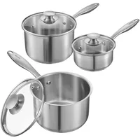 Vevor Topf-Set 4-tlg. Kochtopf + Gemüsetopf + Milchtopf + Glasdeckel