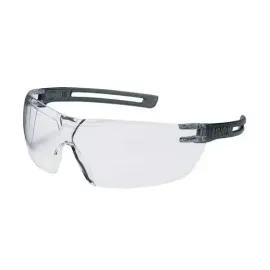 Uvex 9199085 Schutzbrille/Sicherheitsbrille Grau