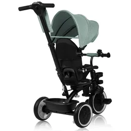 lionelo Berry Multifunktionales Dreirad und Kinderwagen von 9 Monaten bis 5 Jahren bis zu 25 kg Große PU-Räder, Dreirad-Drehsitz 360° Montage ohne Werkzeug