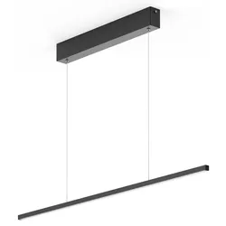 EVOTEC LED Pendelleuchte 