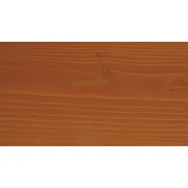 BM Massivholz Sichtschutz Zaun Sylt 90 x 100 cm Braun Douglasie