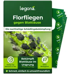 Florfliegenlarven gegen Blattläuse und Thripse