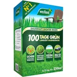 Westland 100 Tage Grün, 6,25 kg, 250 m2 – Langzeitdünger für dauerhaft dichten Rasen, feines Rasen-Granulat, Rasendünger ideal für Mähroboter