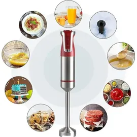 Royalty Line RL-ESTM800 Stabmixer