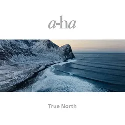 True North (2x recycled 12"Black Heavy Weight)