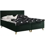 kaiser möbel Boxbett, Grün, 140x200 cm Schlafzimmer, Betten, Boxspringbetten